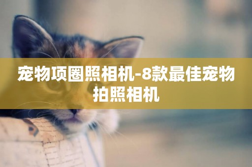 寵物項圈照相機-8款最佳寵物拍照相機