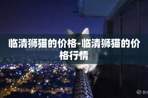 臨清獅貓的價格-臨清獅貓的價格行情