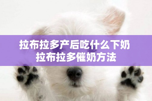 拉布拉多產后吃什么下奶 拉布拉多催奶方法