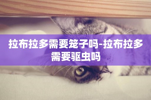 拉布拉多需要籠子嗎-拉布拉多需要驅蟲嗎