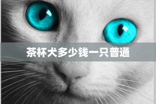 茶杯犬多少錢一只普通