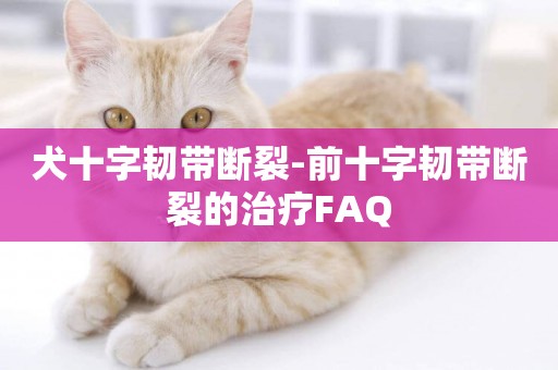犬十字韌帶斷裂-前十字韌帶斷裂的治療FAQ