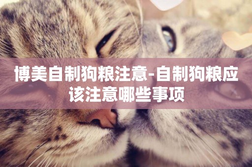 博美自制狗糧注意-自制狗糧應該注意哪些事項