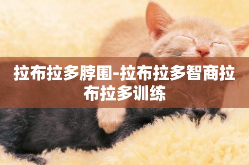 拉布拉多脖圍-拉布拉多智商拉布拉多訓練