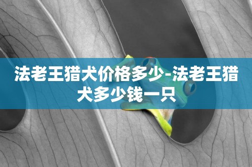 法老王獵犬價格多少-法老王獵犬多少錢一只