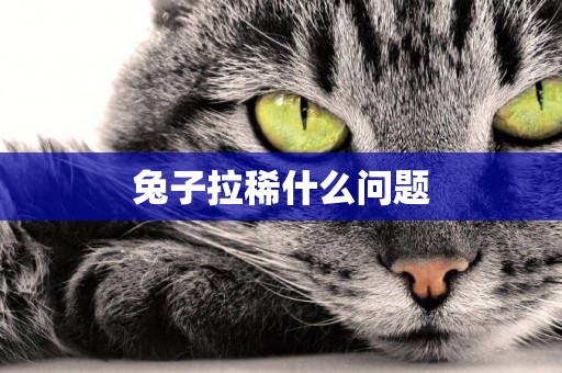 兔子拉稀什么問題