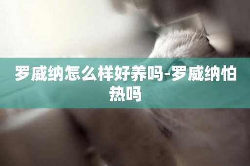 羅威納怎么樣好養嗎-羅威納怕熱嗎