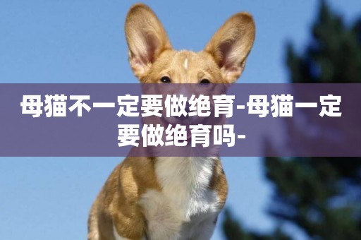 母貓不一定要做絕育-母貓一定要做絕育嗎-