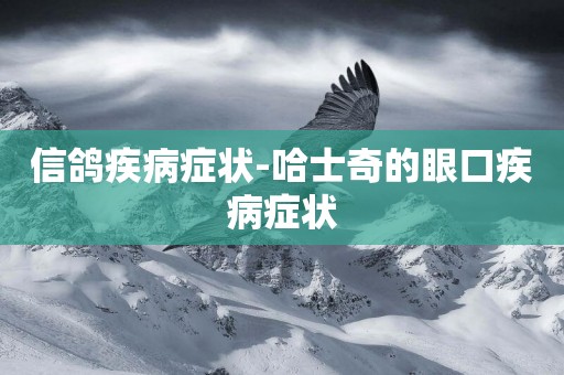 信鴿疾病癥狀-哈士奇的眼口疾病癥狀