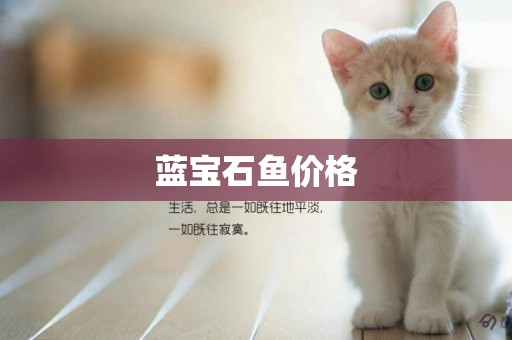 藍寶石魚價格
