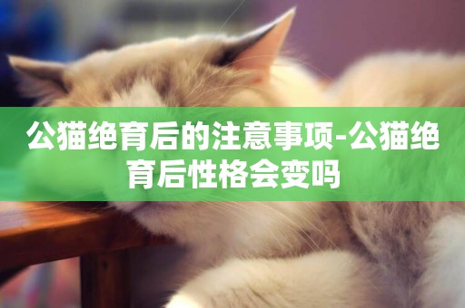 公貓絕育后的注意事項-公貓絕育后性格會變嗎