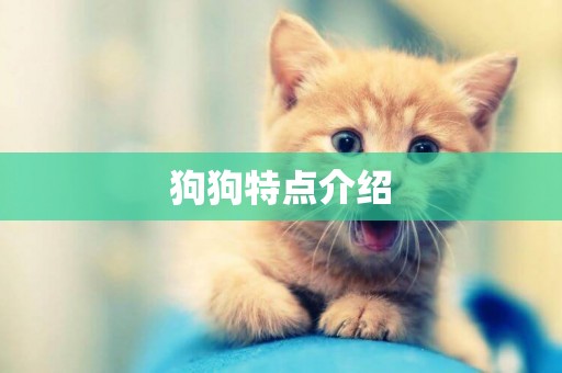 狗狗特點介紹