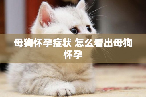 母狗懷孕癥狀 怎么看出母狗懷孕