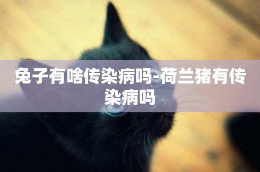 兔子有啥傳染病嗎-荷蘭豬有傳染病嗎
