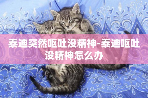 泰迪突然嘔吐沒精神-泰迪嘔吐沒精神怎么辦