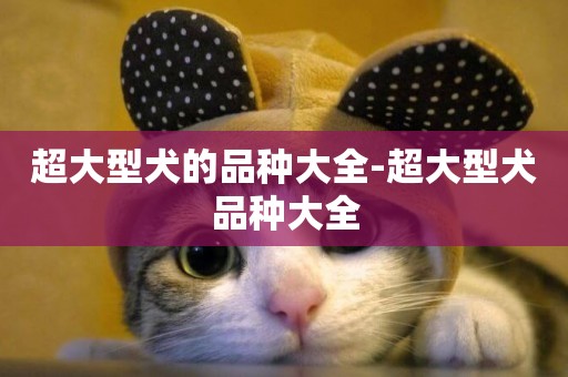 超大型犬的品種大全-超大型犬品種大全