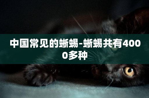 中國常見的蜥蜴-蜥蜴共有4000多種