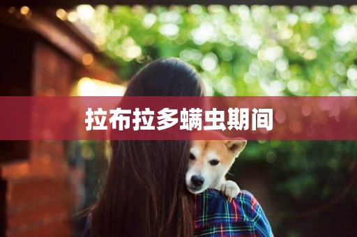 拉布拉多螨蟲期間