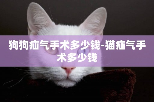 狗狗疝氣手術多少錢-貓疝氣手術多少錢