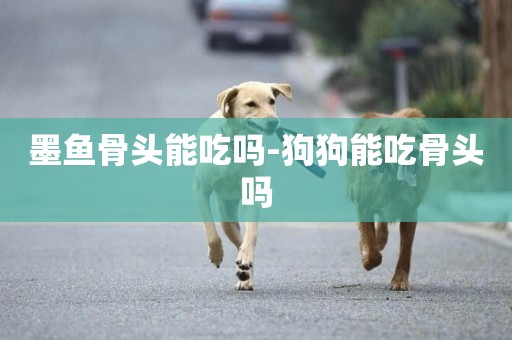 墨魚骨頭能吃嗎-狗狗能吃骨頭嗎