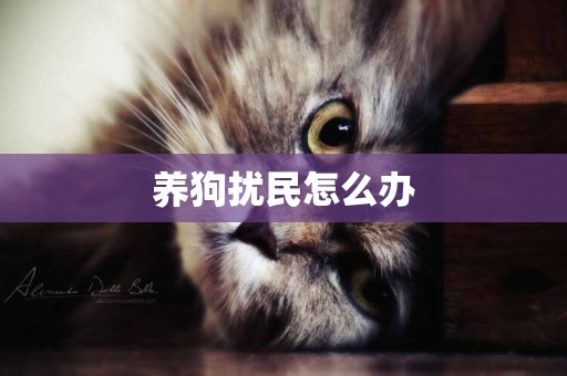 養狗擾民怎么辦