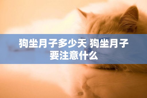 狗坐月子多少天 狗坐月子要注意什么