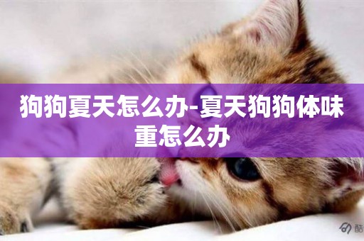 狗狗夏天怎么辦-夏天狗狗體味重怎么辦
