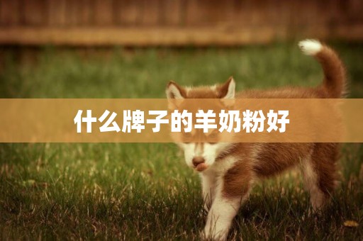 什么牌子的羊奶粉好