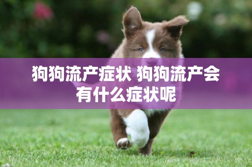狗狗流產癥狀 狗狗流產會有什么癥狀呢