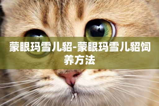 蒙眼瑪雪兒貂-蒙眼瑪雪兒貂飼養方法