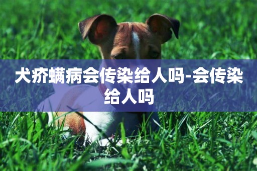犬疥螨病會傳染給人嗎-會傳染給人嗎