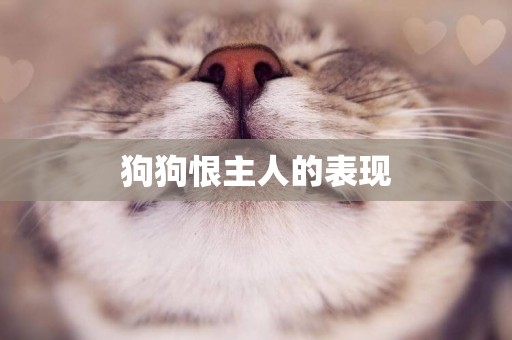 狗狗恨主人的表現