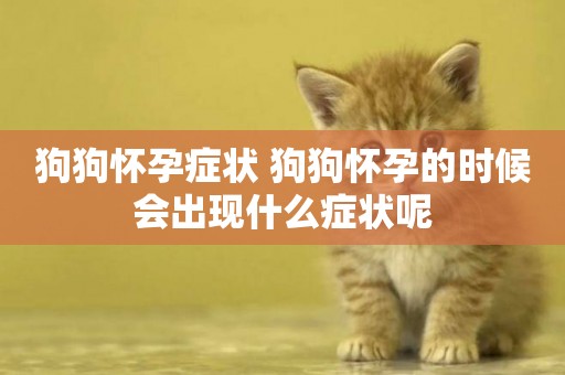 狗狗懷孕癥狀 狗狗懷孕的時候會出現什么癥狀呢
