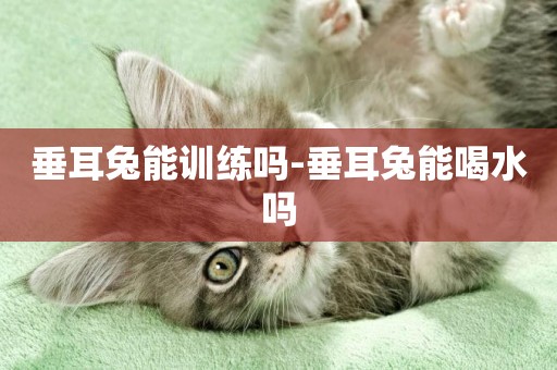 垂耳兔能訓練嗎-垂耳兔能喝水嗎