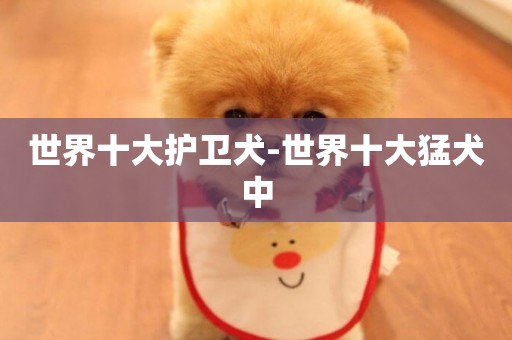 世界十大護衛犬-世界十大猛犬中