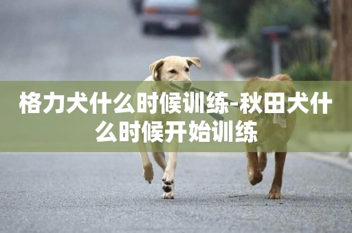 格力犬什么時候訓練-秋田犬什么時候開始訓練
