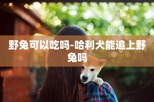 野兔可以吃嗎-哈利犬能追上野兔嗎