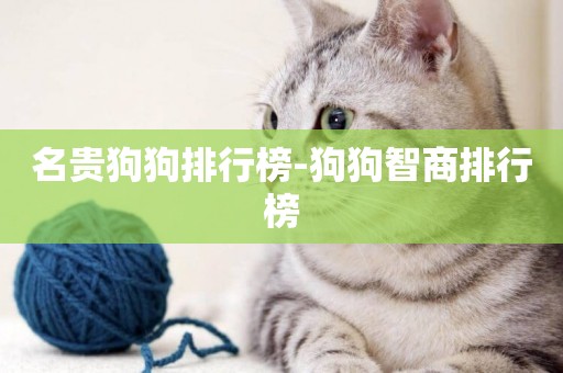 名貴狗狗排行榜-狗狗智商排行榜