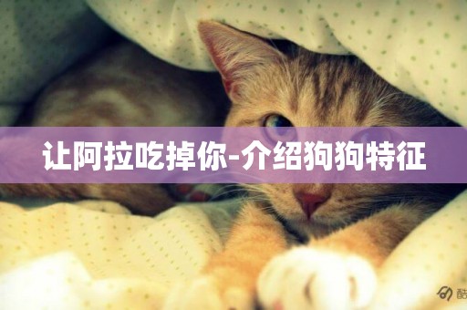 讓阿拉吃掉你-介紹狗狗特征