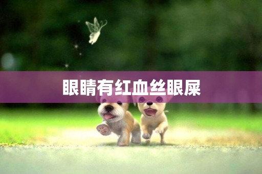 眼睛有紅血絲眼屎