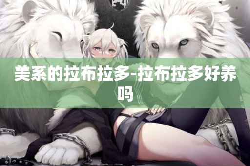 美系的拉布拉多-拉布拉多好養嗎