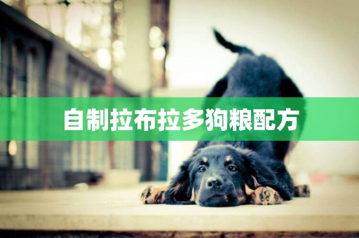自制拉布拉多狗糧配方