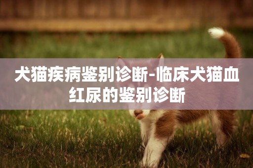 犬貓疾病鑒別診斷-臨床犬貓血紅尿的鑒別診斷