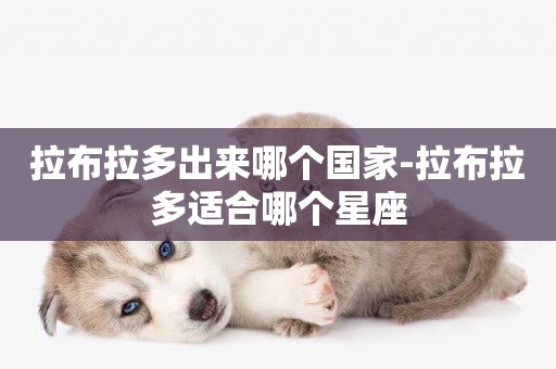 拉布拉多出來哪個國家-拉布拉多適合哪個星座
