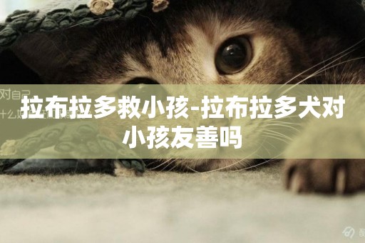 拉布拉多救小孩-拉布拉多犬對小孩友善嗎