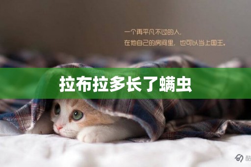 拉布拉多長了螨蟲