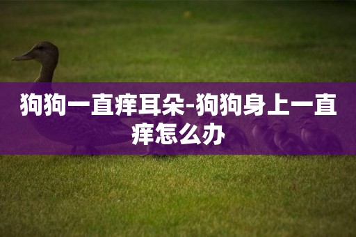 狗狗一直癢耳朵-狗狗身上一直癢怎么辦