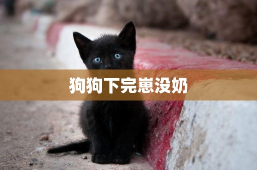 狗狗下完崽沒奶