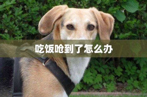 吃飯嗆到了怎么辦