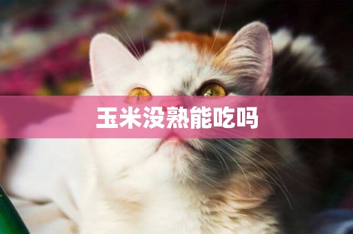 玉米沒熟能吃嗎